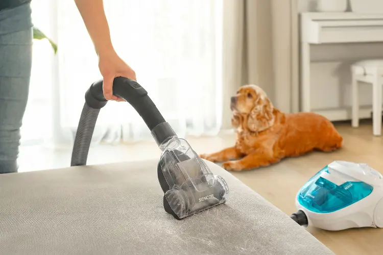 Sencor SVC 1015TQ 3AAA — Mała końcówka Cat & Dog