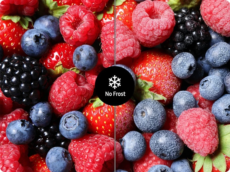 Samsung RR80H39CCFEO — No Frost