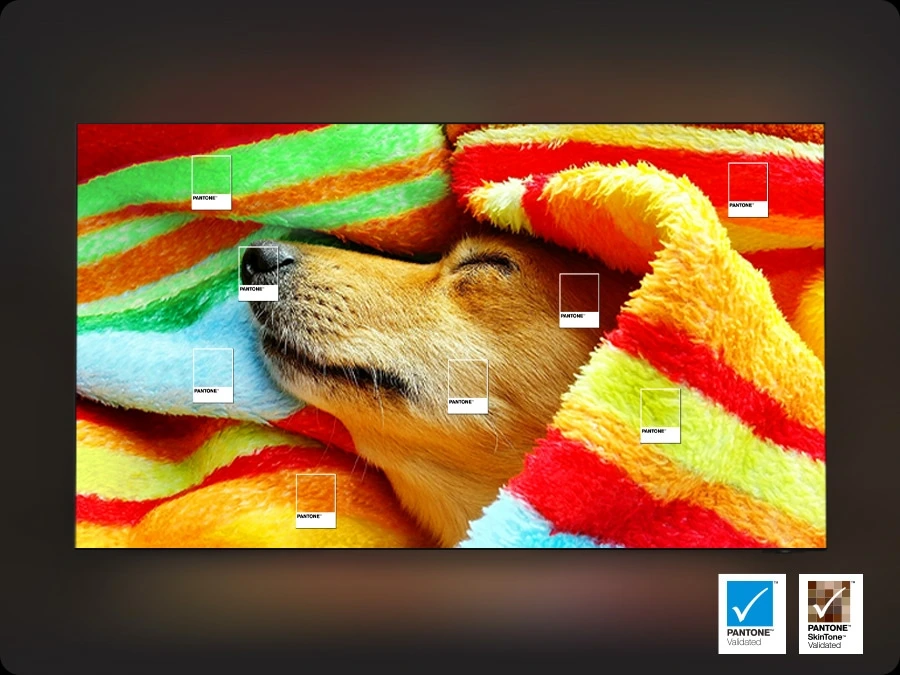 Samsung QE83S90FAEXXH — Odwzorowanie kolorów PANTONE